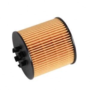 VAG Oil Filter (03C115403F)